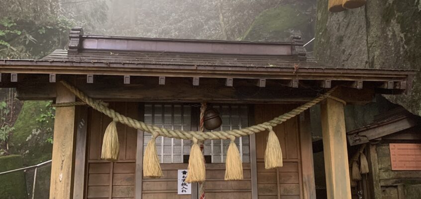 曇りの中でのトレッキング